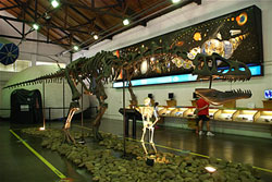 Exposição da Estação Ciência