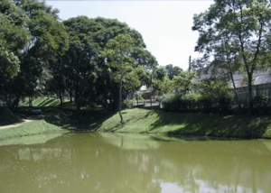 Parque Vila dos Remédios na Lapa