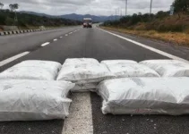 apreensão de drogas