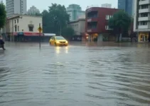 chuvas cauando alagamentos SP