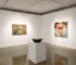 exposições individuais