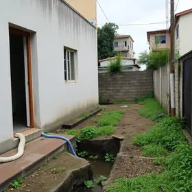 multa Lapa