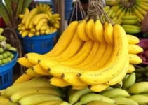 redução da oferta de banana