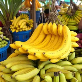 redução da oferta de banana