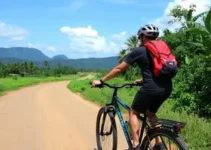 A Viagem do Jiló