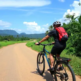A Viagem do Jiló