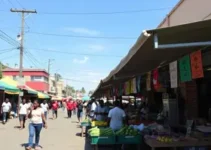 Mercado da Lapa